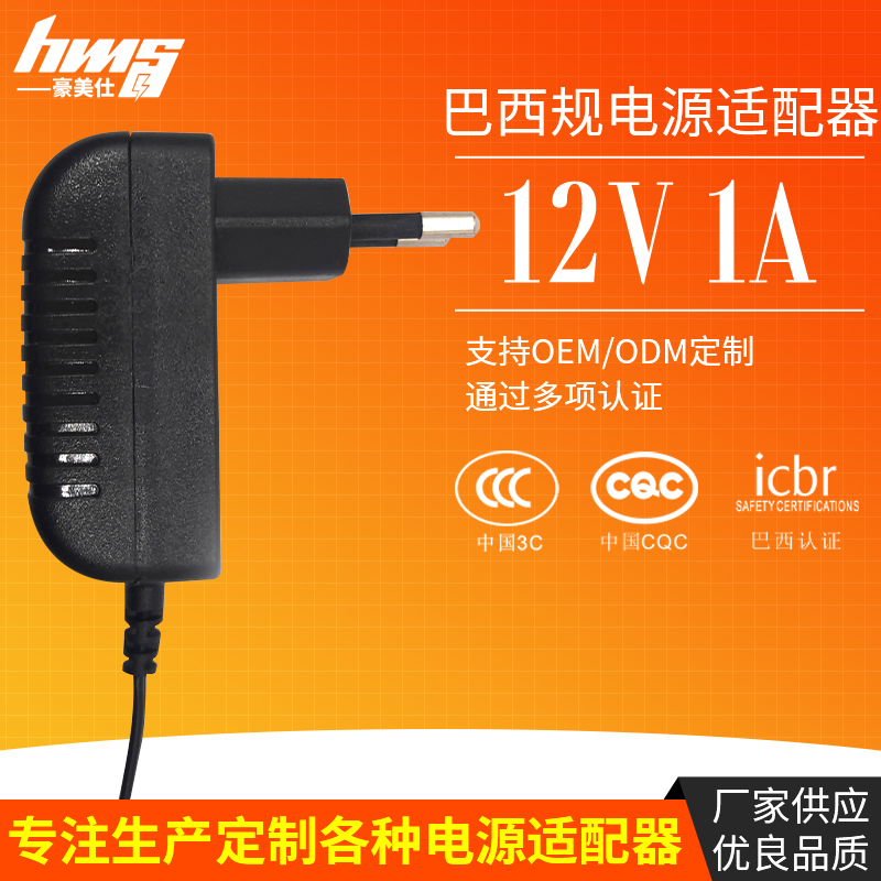12v  1A巴西规