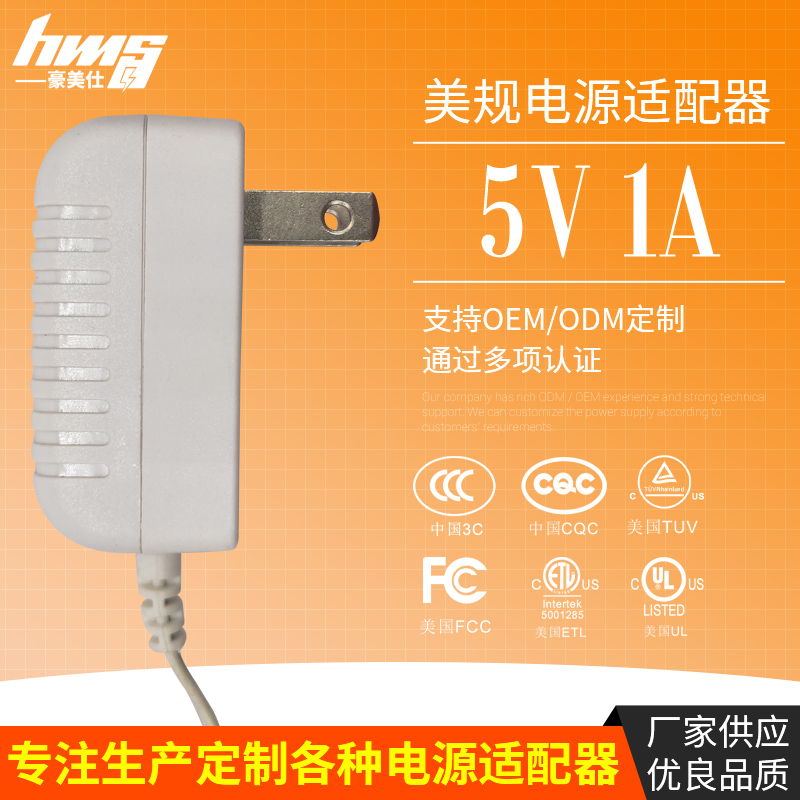 5V 1A美规